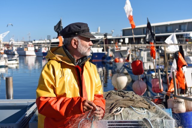 Des plateaux de fruits de mer délicieux